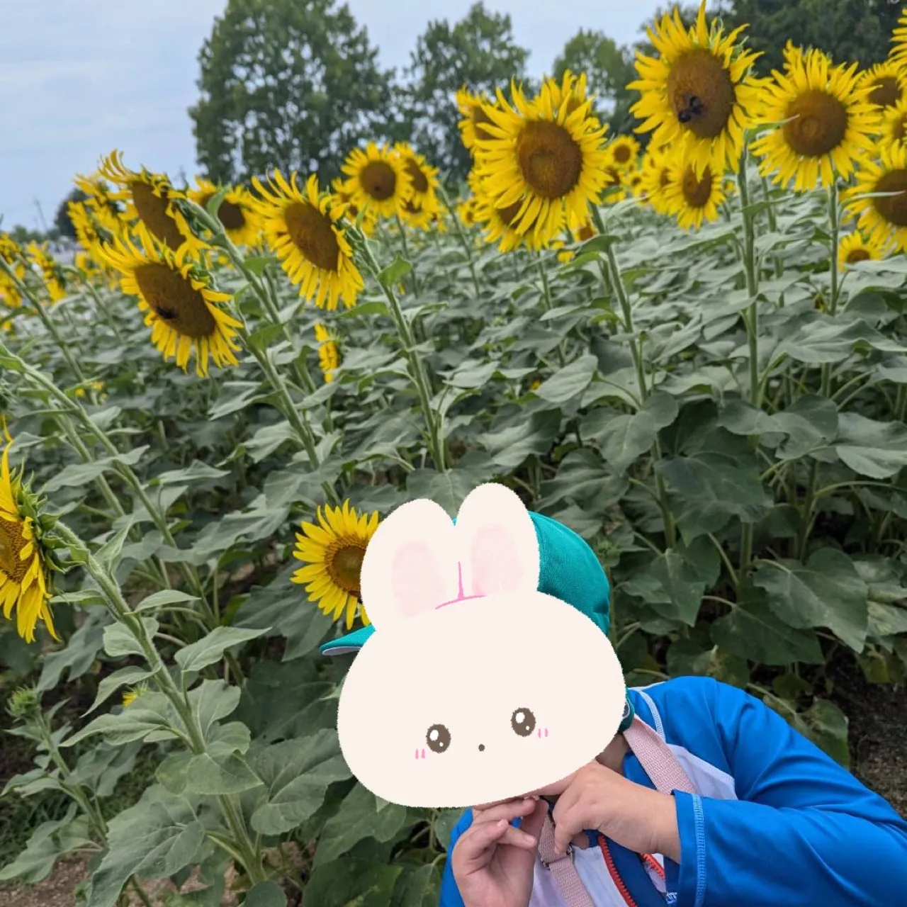 レプタリンクでひまわりの丘に行ったよ～🤩