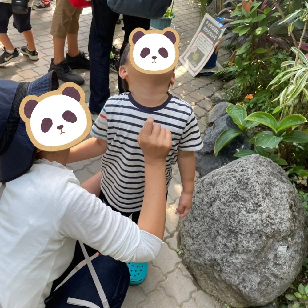 伊丹市昆虫館へ行こう🐛【ﾚﾌﾟﾀⅡ】