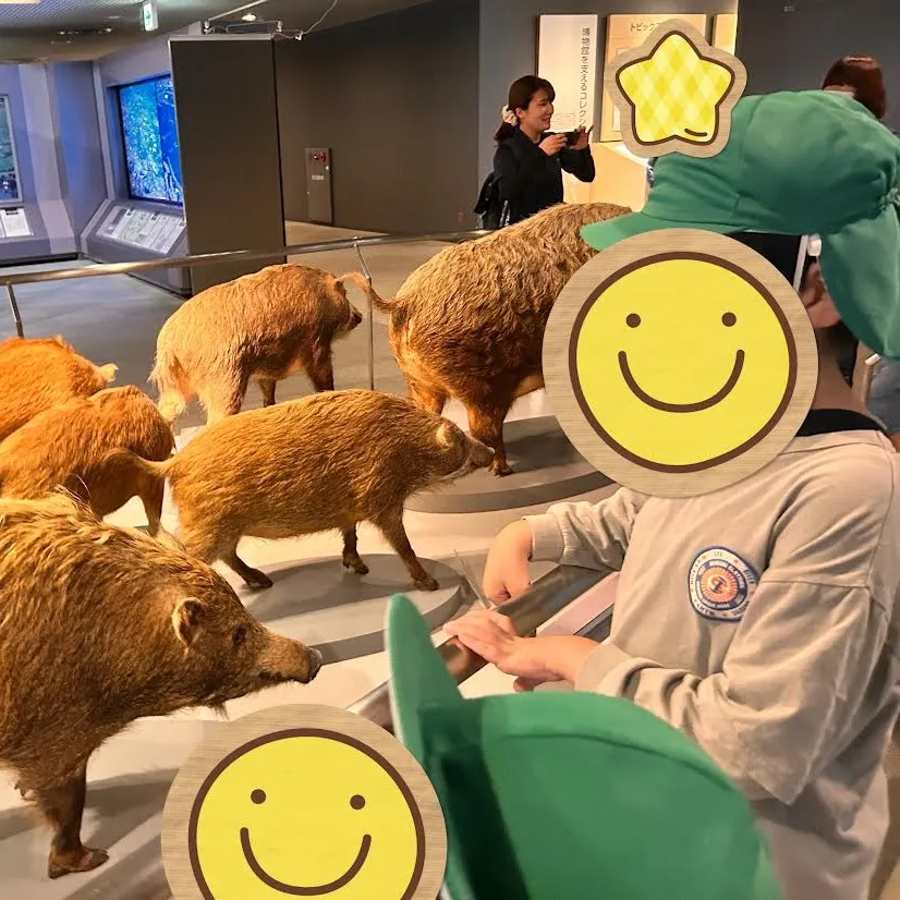 人と自然博物館へ行ってきました🏦