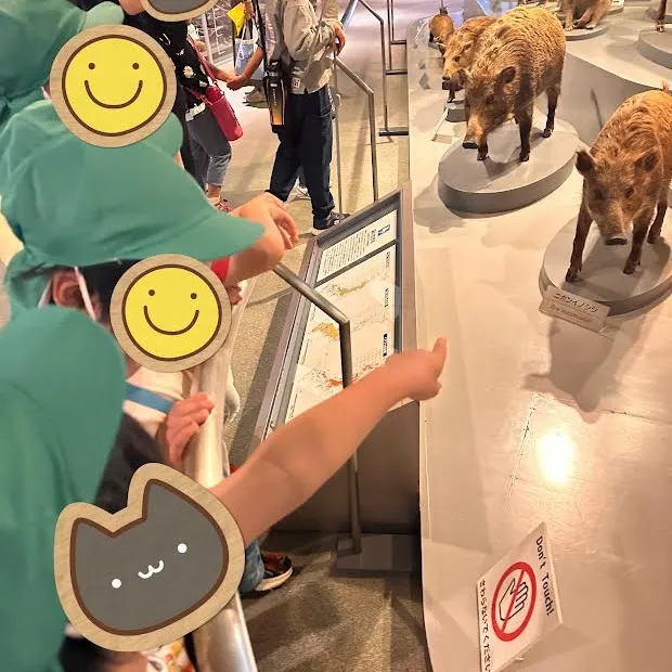 人と自然博物館へ行ってきました🏦