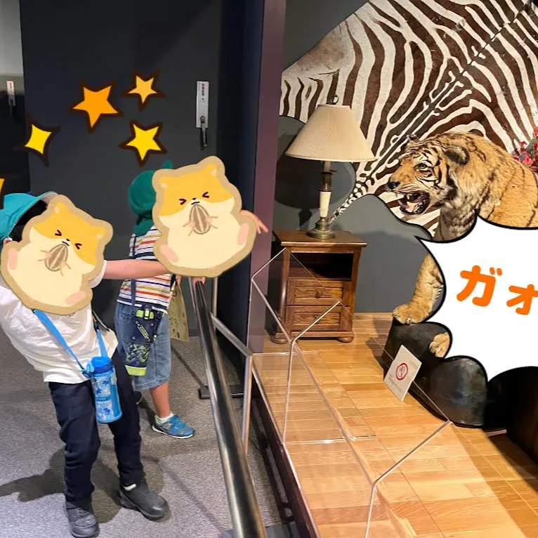 人と自然博物館へ行ってきました🏦