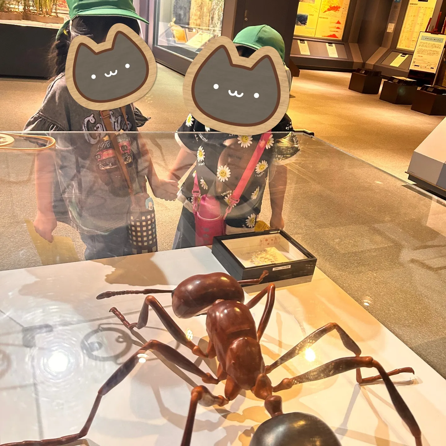 人と自然博物館へ行ってきました🏦