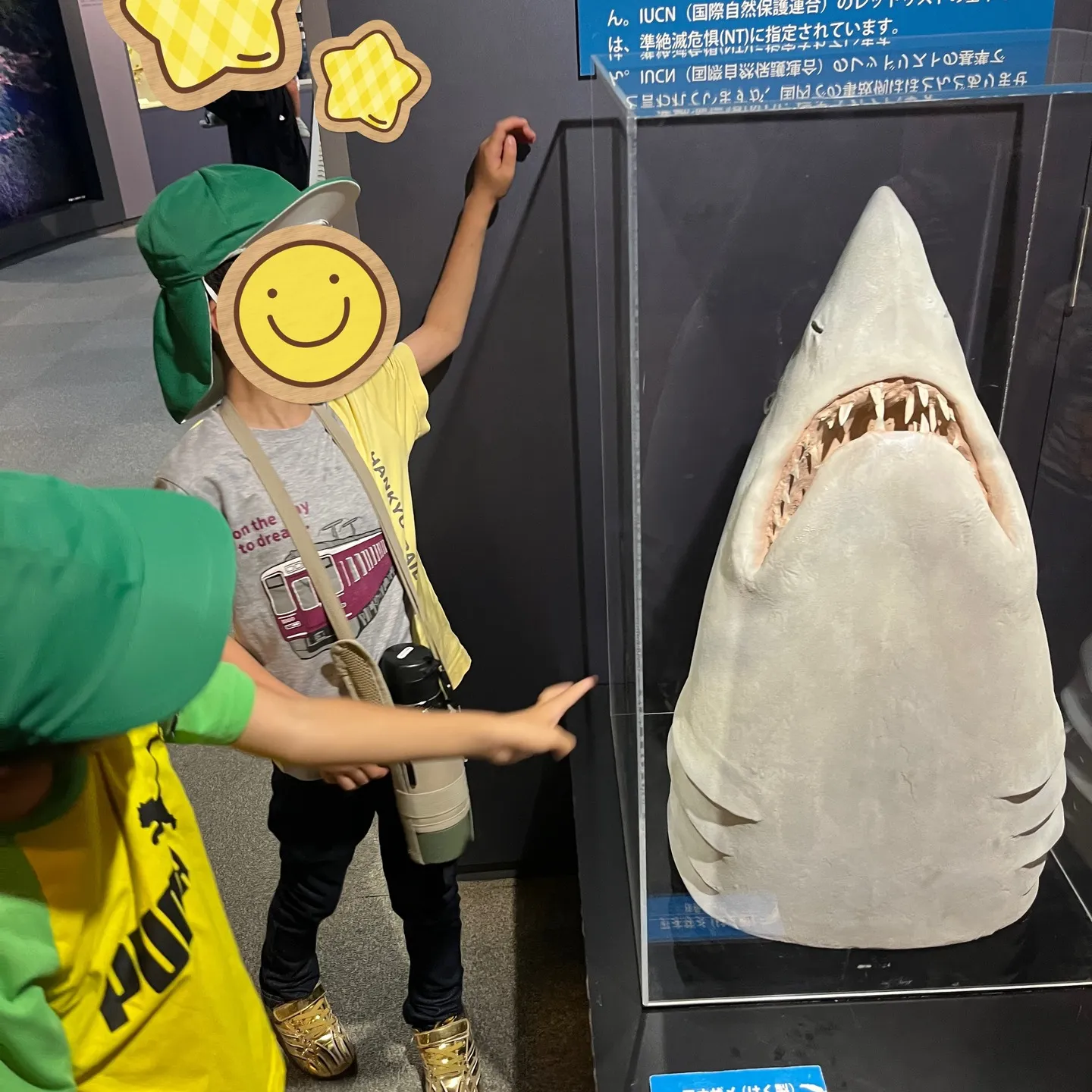 人と自然博物館へ行ってきました🏦