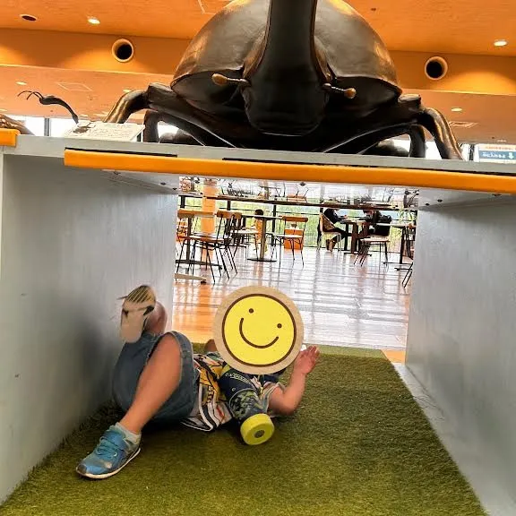 人と自然博物館へ行ってきました🏦