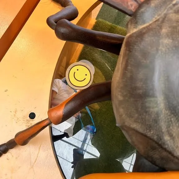 人と自然博物館へ行ってきました🏦