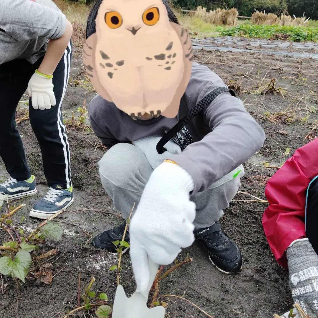 チャットのお芋掘り🍠体験🤩