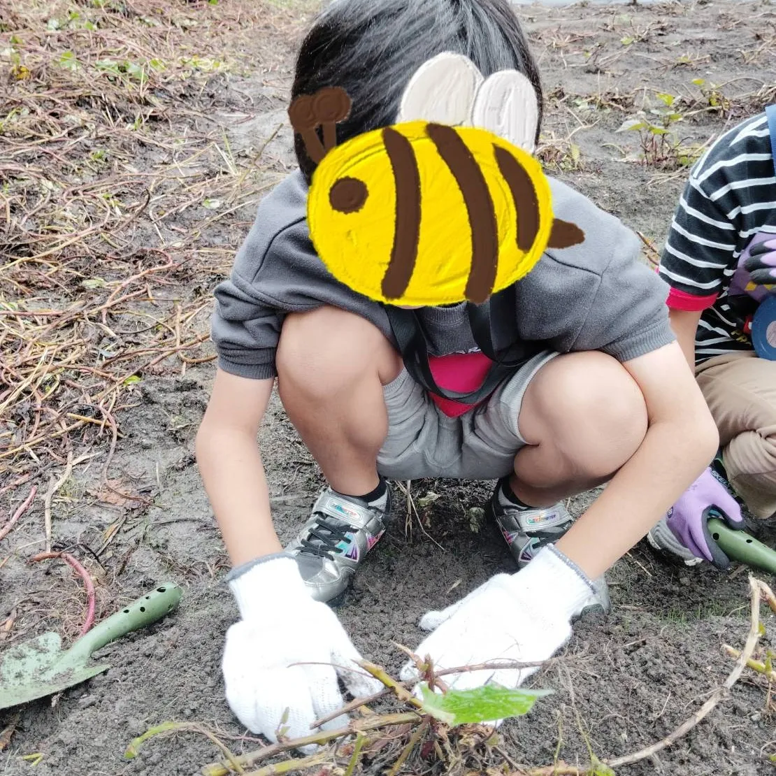 チャットのお芋掘り🍠体験🤩