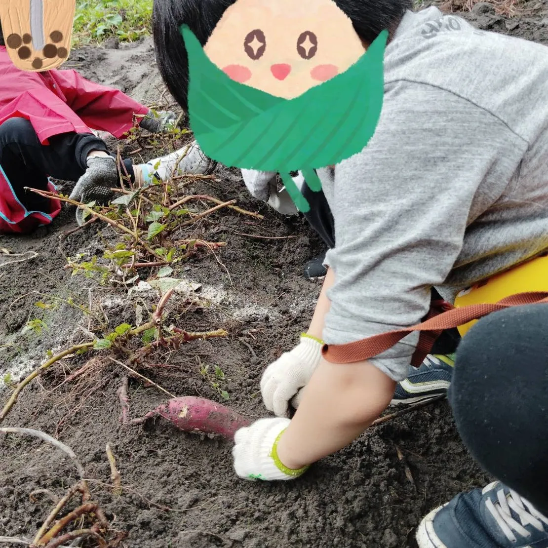 チャットのお芋掘り🍠体験🤩