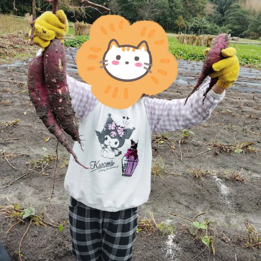 チャットのお芋掘り🍠体験🤩