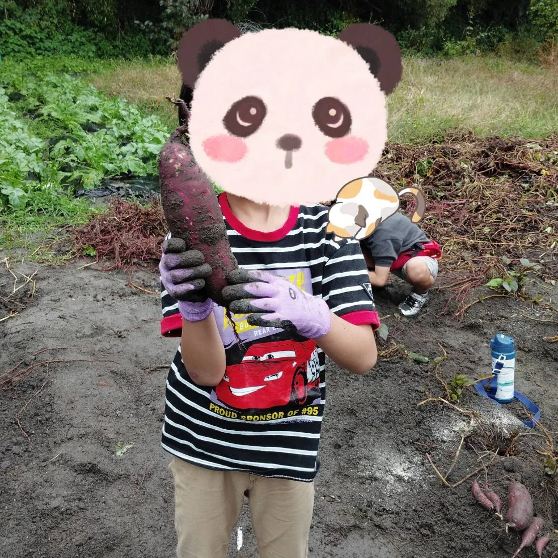 チャットのお芋掘り🍠体験🤩