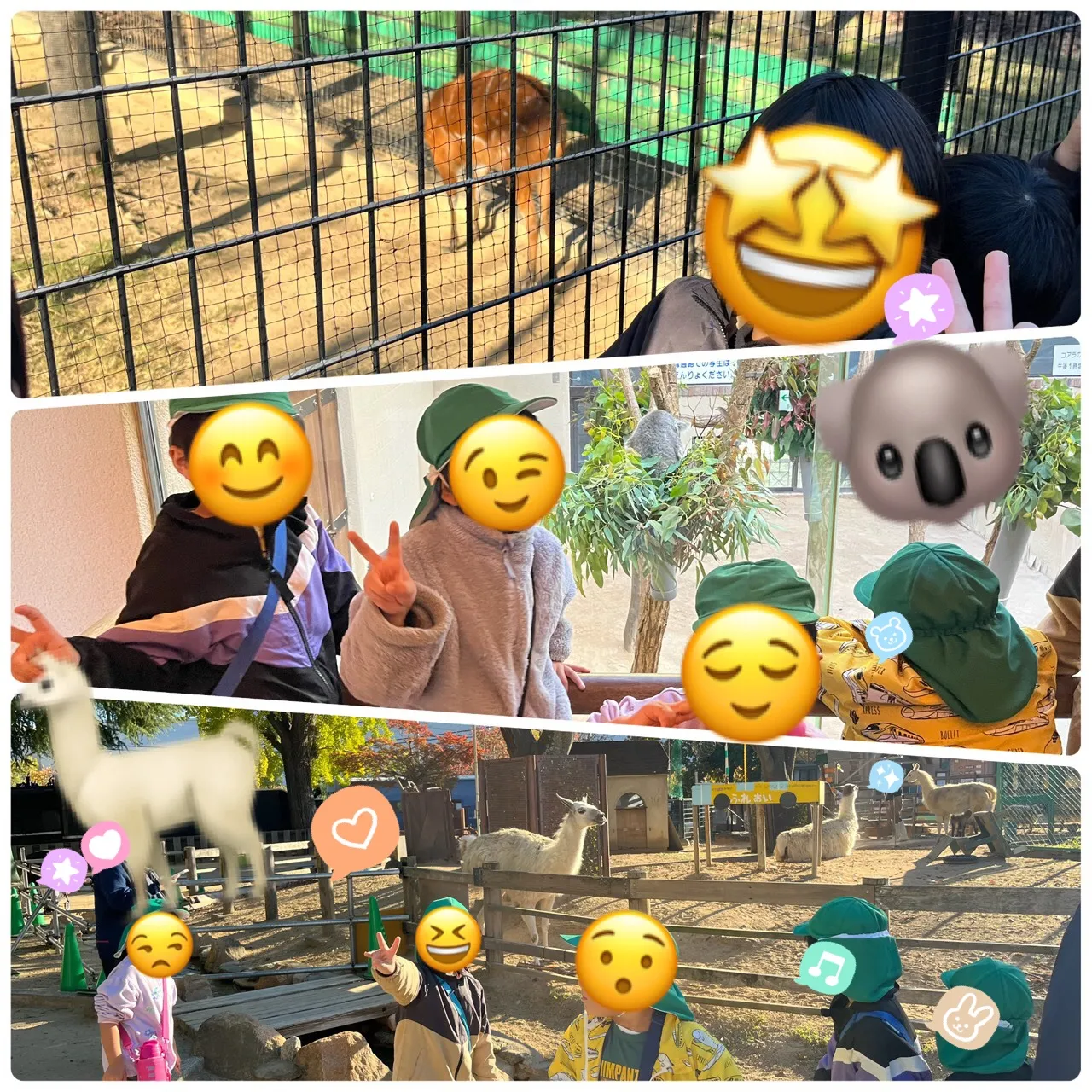 レプタリンクのとある日曜日‼️