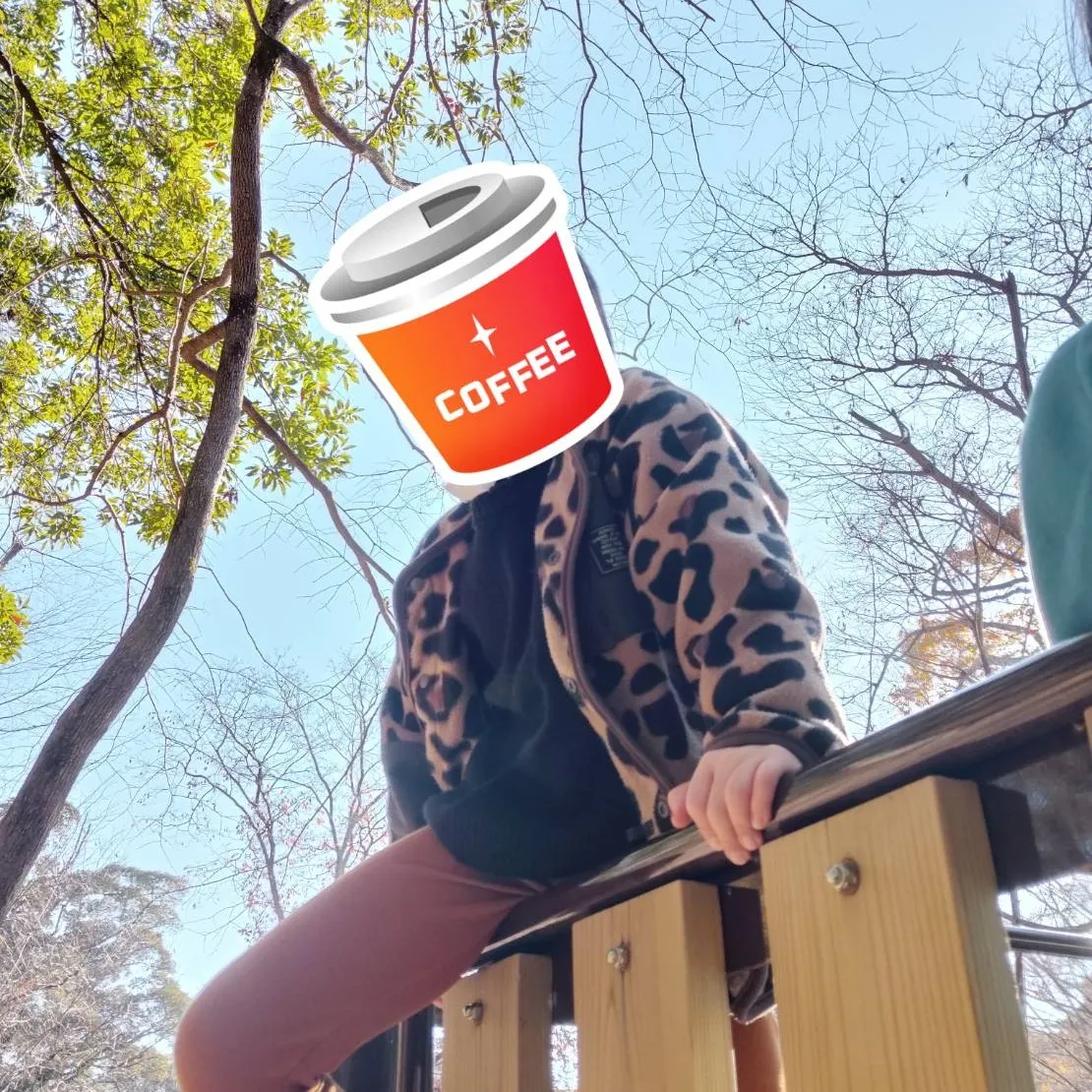 山中の遊び場へ！