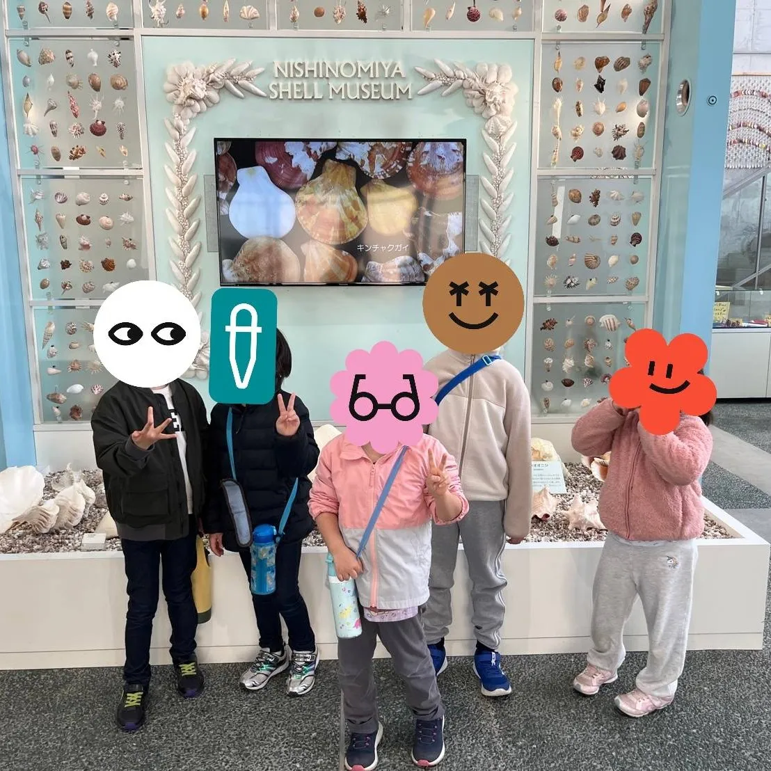 水族館？いいえ、貝類館です。