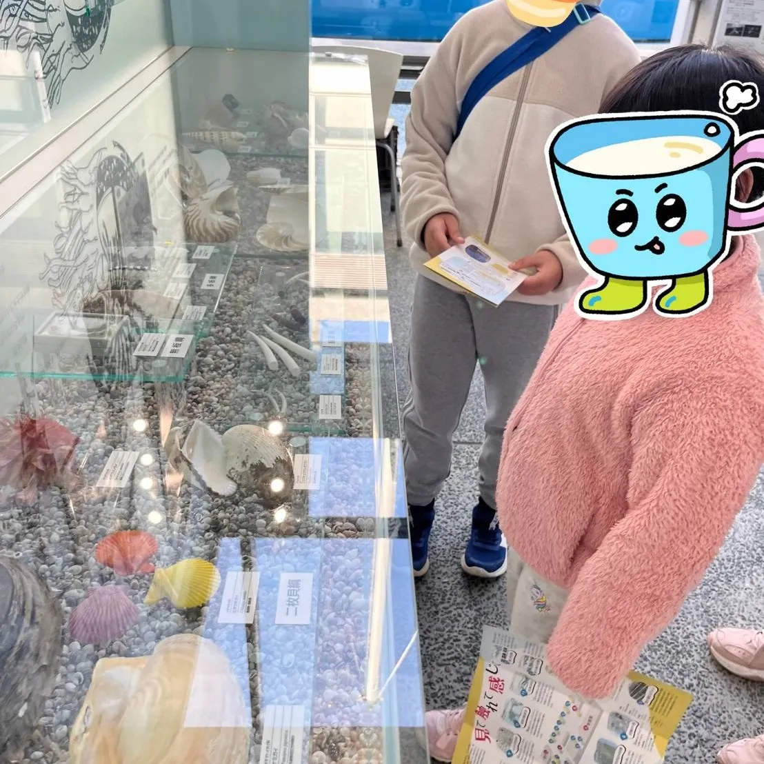 水族館？いいえ、貝類館です。