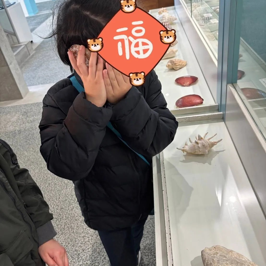 水族館？いいえ、貝類館です。