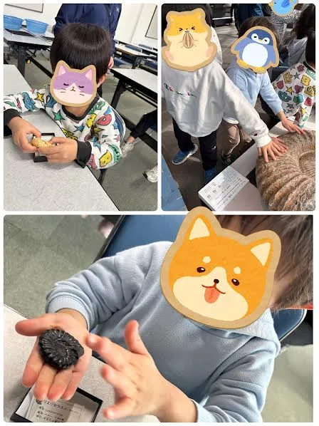アンモナイト作り体験!?🐚🐚🐚