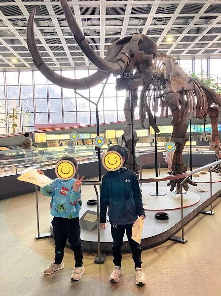 アンモナイト作り体験!?🐚🐚🐚