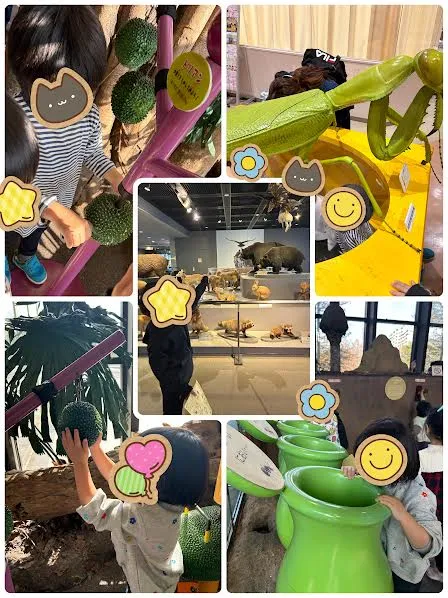 アンモナイト作り体験!?🐚🐚🐚