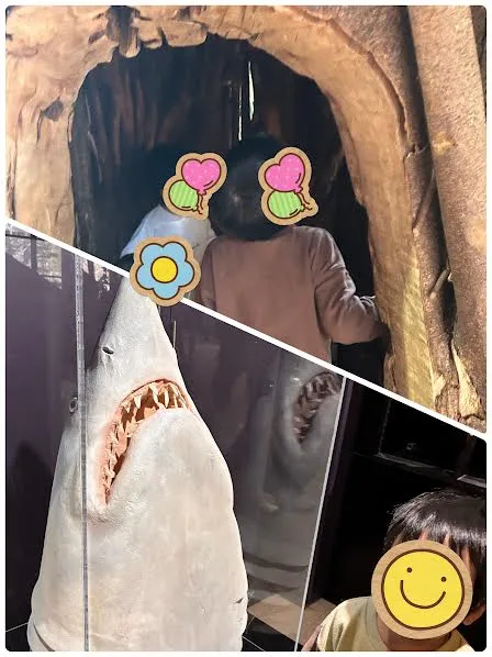 アンモナイト作り体験!?🐚🐚🐚