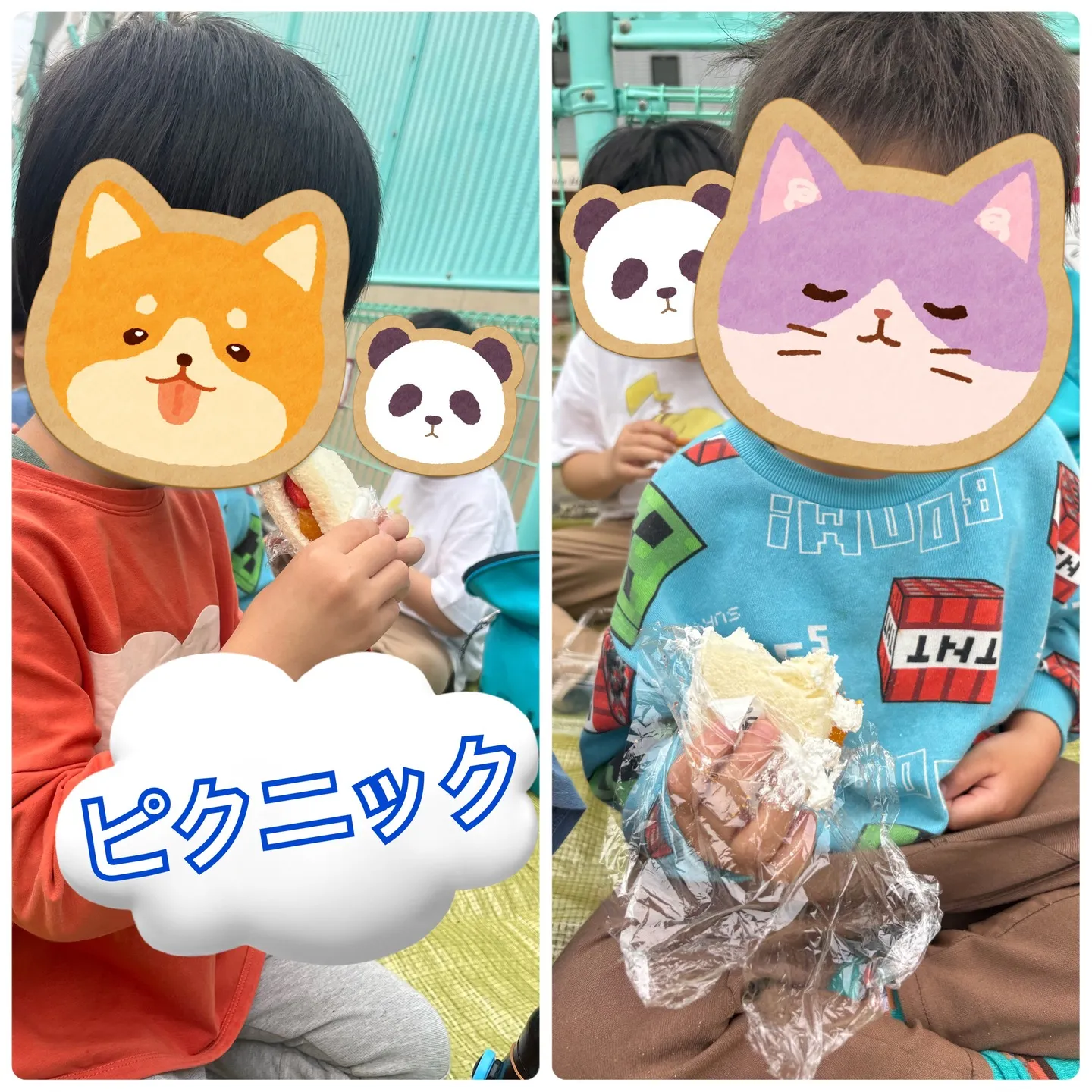 レプタでフルーツサンド作りとピクニック🍓🍊🍌