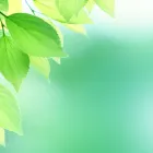 当社の特徴